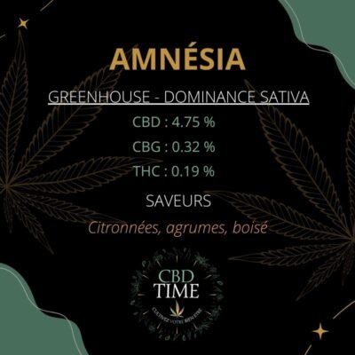 AMNÉSIA GREENHOUSE – Image 2