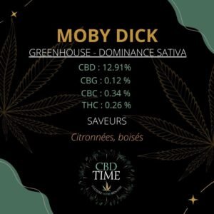 MOBY DICK