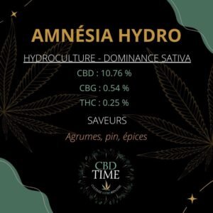 AMNÉSIA HYDROPONIE