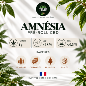 Amnésia –  Pré-Roll CBD 1 g