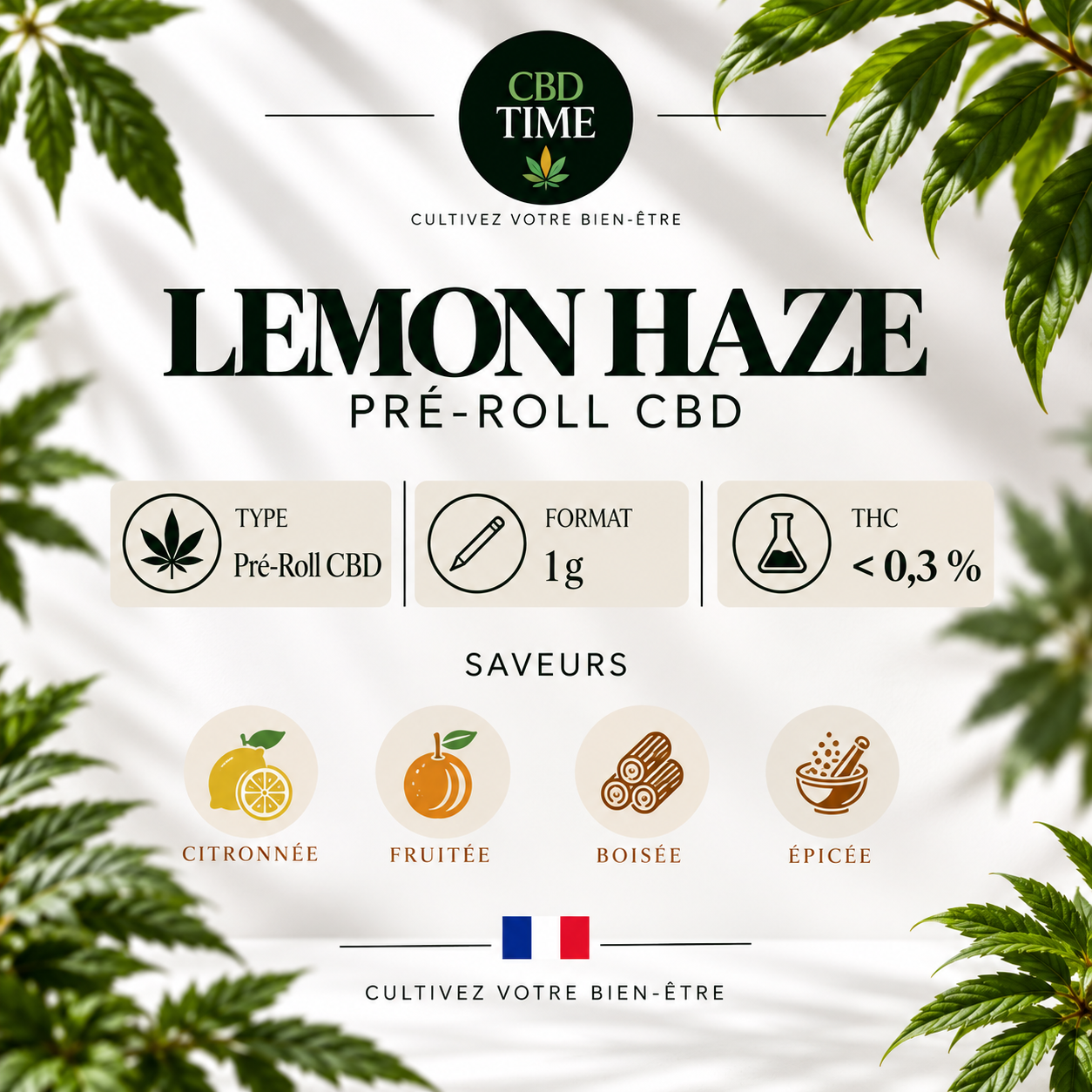 Informations et caractéristiques du Pré-Roll CBD Lemon Haze 1 g