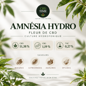 Amnésia Hydroponie – Fleur CBD
