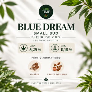 Blue Dream Small Bud – Fleur CBD Indoor