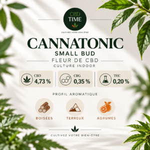 Cannatonic Small Bud – Fleur CBD Indoor