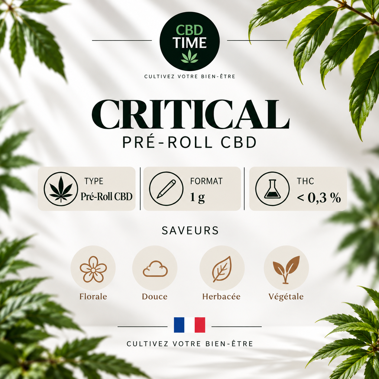 Informations et caractéristiques du Pré-Roll CBD Critical 1 g