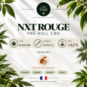 NXT Rouge – Pré-Roll CBD Amnesia 1 g