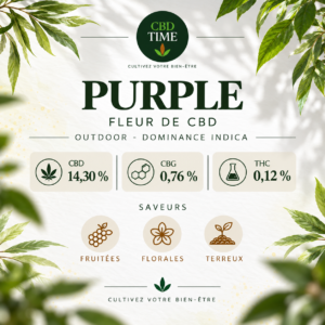 Purple – Fleur CBD Outdoor
