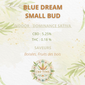 BLUE DREAM – SMALL BUD