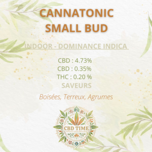 CANNATONIC – SMALL BUD