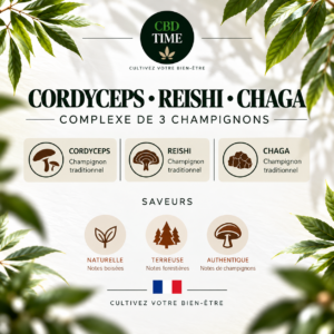 Complexe 3 Champignons – Reishi, Chaga & Cordyceps – 30 Gélules