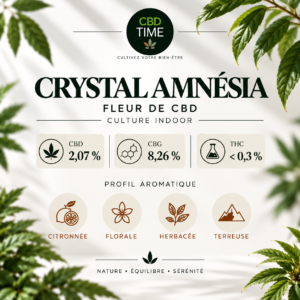 Crystal Amnésia – Fleur CBD & CBG Indoor