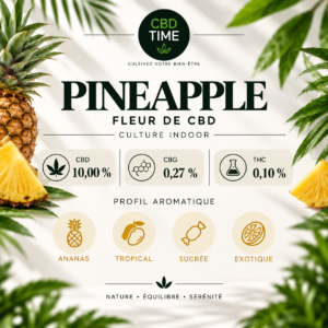 Pineapple – Fleur CBD Indoor
